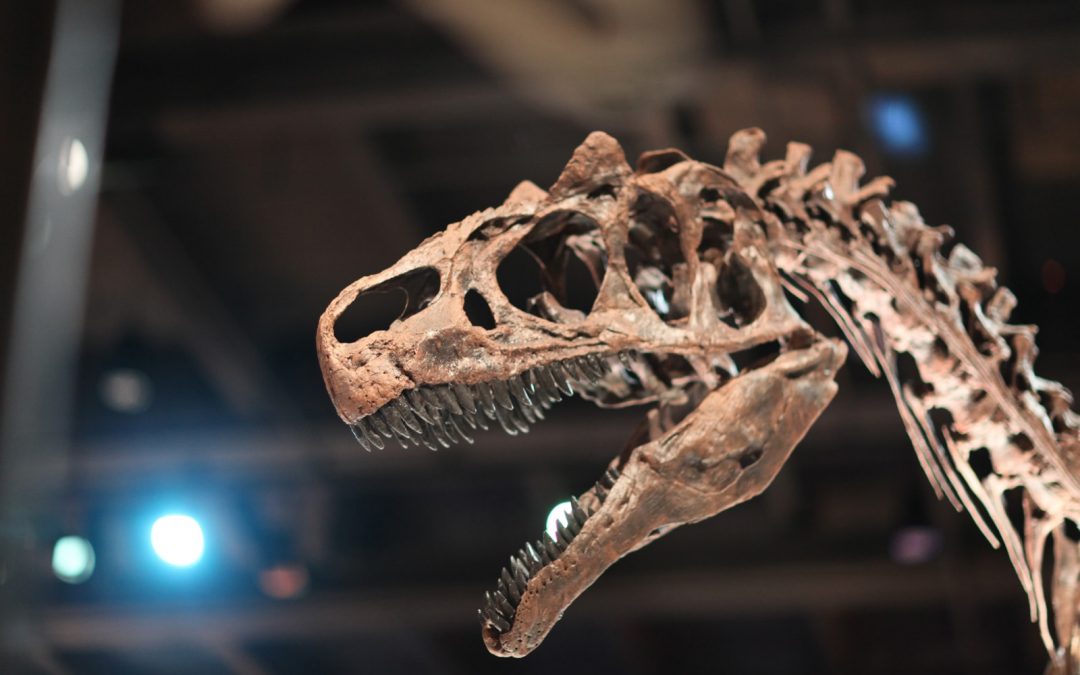 Les dinosaures auraient eu des lèvres pour protéger leurs dents pointues !